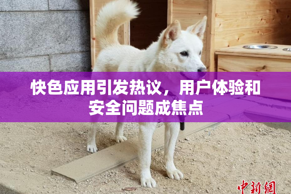 快色应用引发热议，用户体验和安全问题成焦点