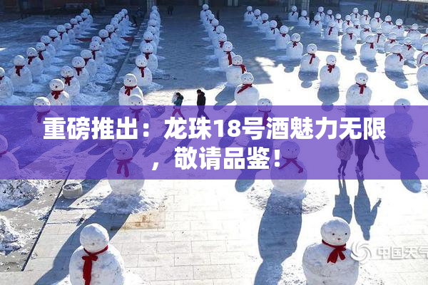 重磅推出：龙珠18号酒魅力无限，敬请品鉴！