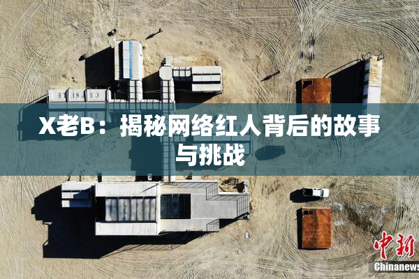 X老B：揭秘网络红人背后的故事与挑战