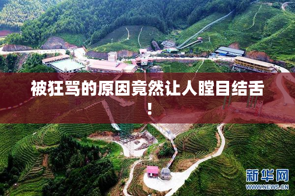被狂骂的原因竟然让人瞠目结舌！
