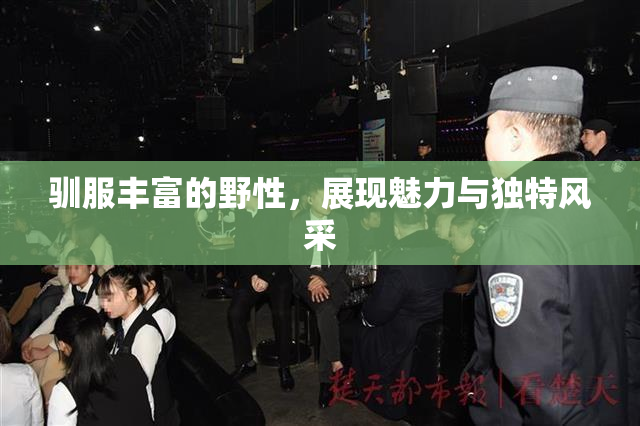 驯服丰富的野性，展现魅力与独特风采
