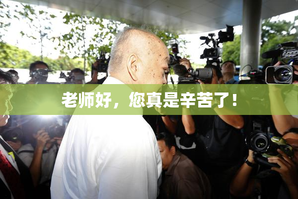 老师好，您真是辛苦了！