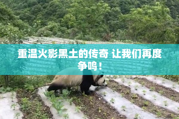 重温火影黑土的传奇 让我们再度争鸣！
