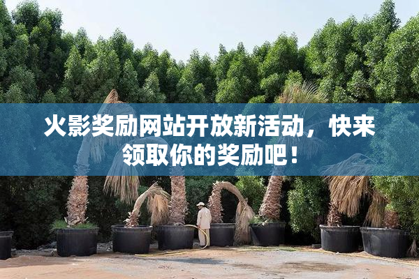 火影奖励网站开放新活动，快来领取你的奖励吧！