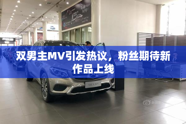 双男主MV引发热议，粉丝期待新作品上线