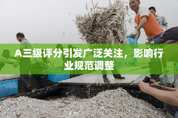 A三级评分引发广泛关注，影响行业规范调整