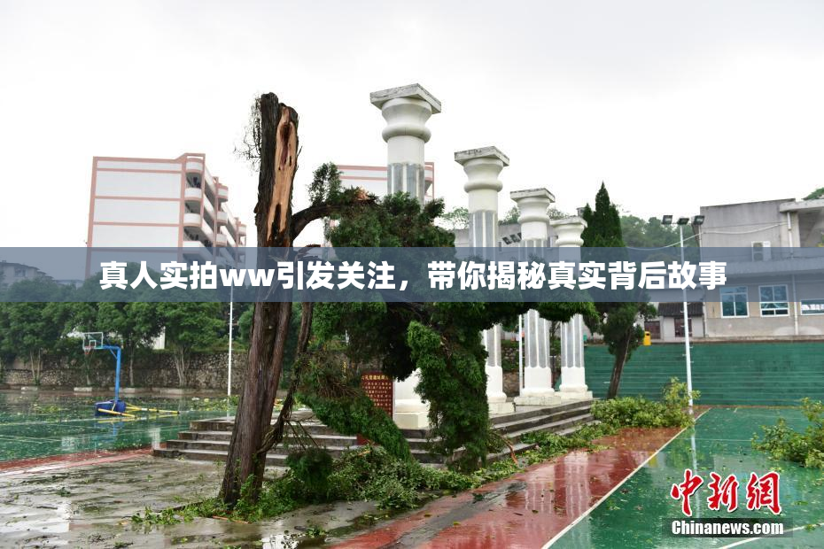 真人实拍ww引发关注，带你揭秘真实背后故事
