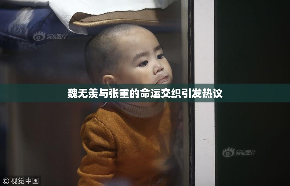 魏无羡与张重的命运交织引发热议