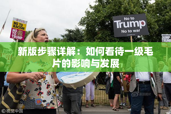 新版步骤详解：如何看待一级毛片的影响与发展