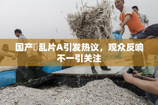 国产婬乱片A引发热议，观众反响不一引关注