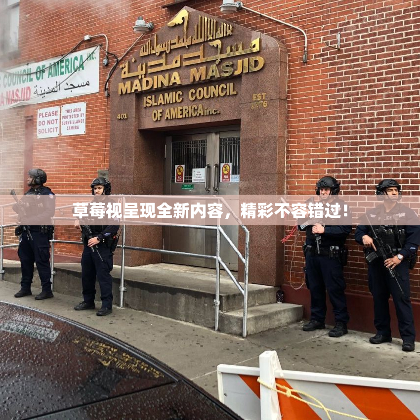 草莓视呈现全新内容，精彩不容错过！