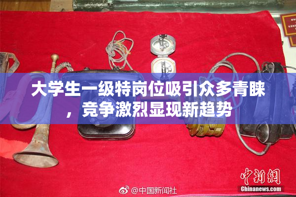 大学生一级特岗位吸引众多青睐，竞争激烈显现新趋势