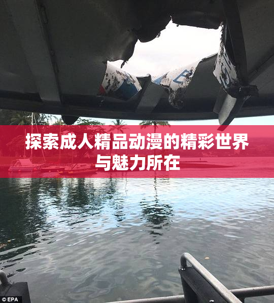 探索成人精品动漫的精彩世界与魅力所在