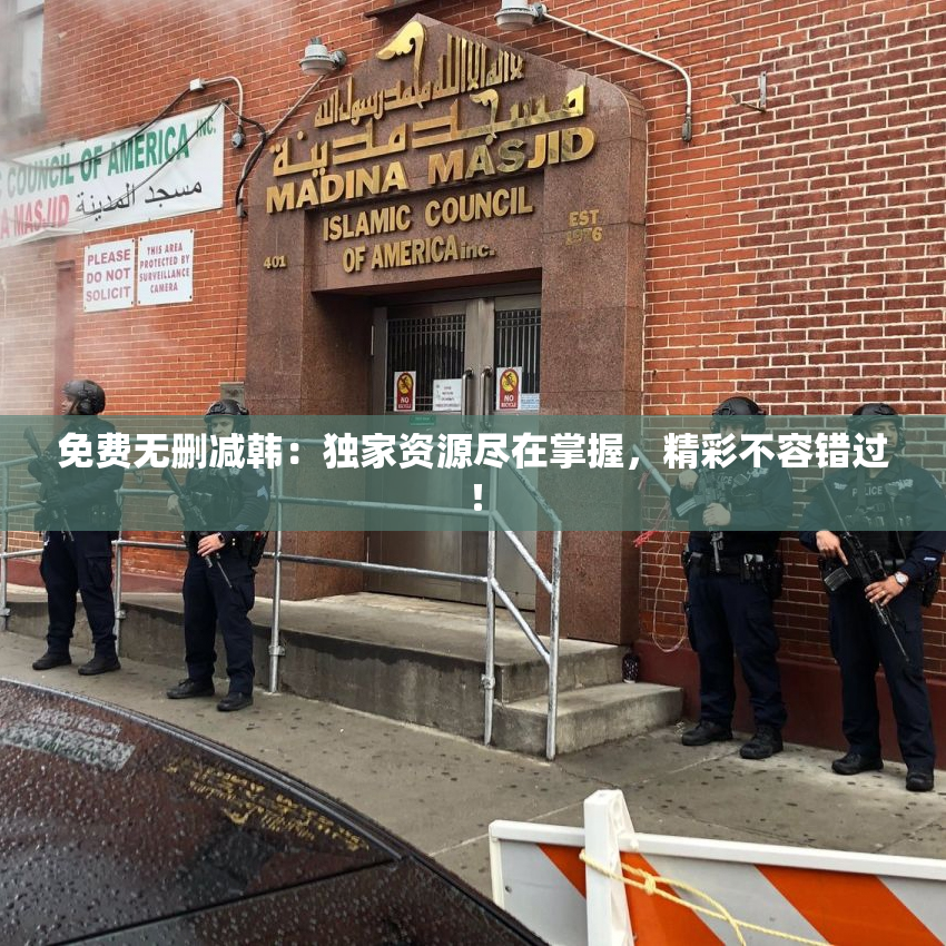 免费无删减韩：独家资源尽在掌握，精彩不容错过！