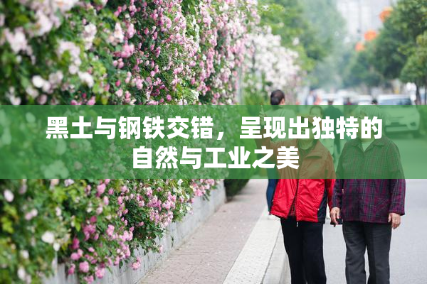 黑土与钢铁交错，呈现出独特的自然与工业之美