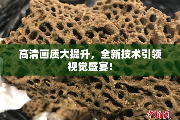 高清画质大提升，全新技术引领视觉盛宴！