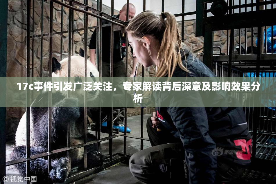 17c事件引发广泛关注，专家解读背后深意及影响效果分析