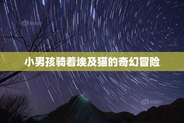 小男孩骑着埃及猫的奇幻冒险