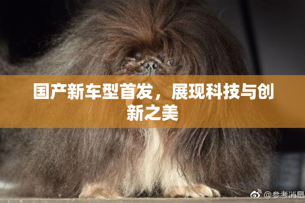 国产新车型首发，展现科技与创新之美