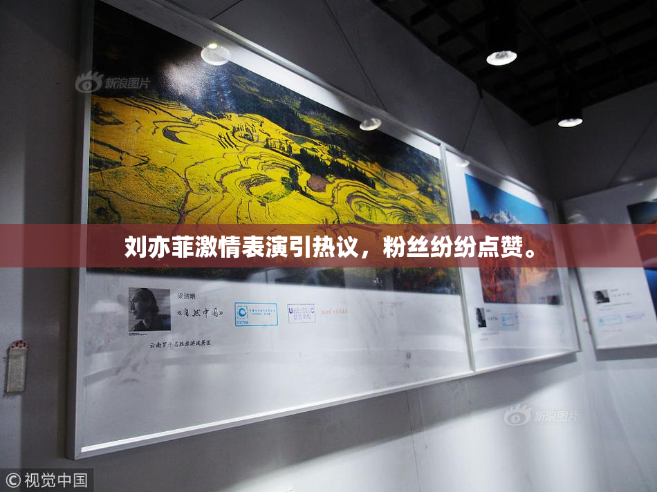 刘亦菲激情表演引热议，粉丝纷纷点赞。