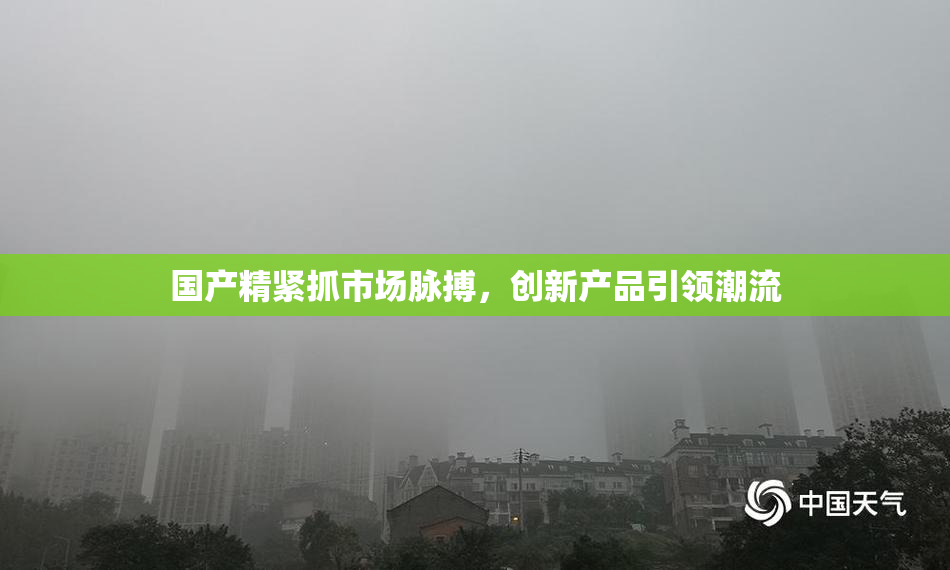 国产精紧抓市场脉搏，创新产品引领潮流