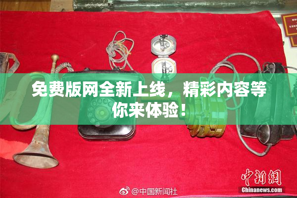 免费版网全新上线，精彩内容等你来体验！