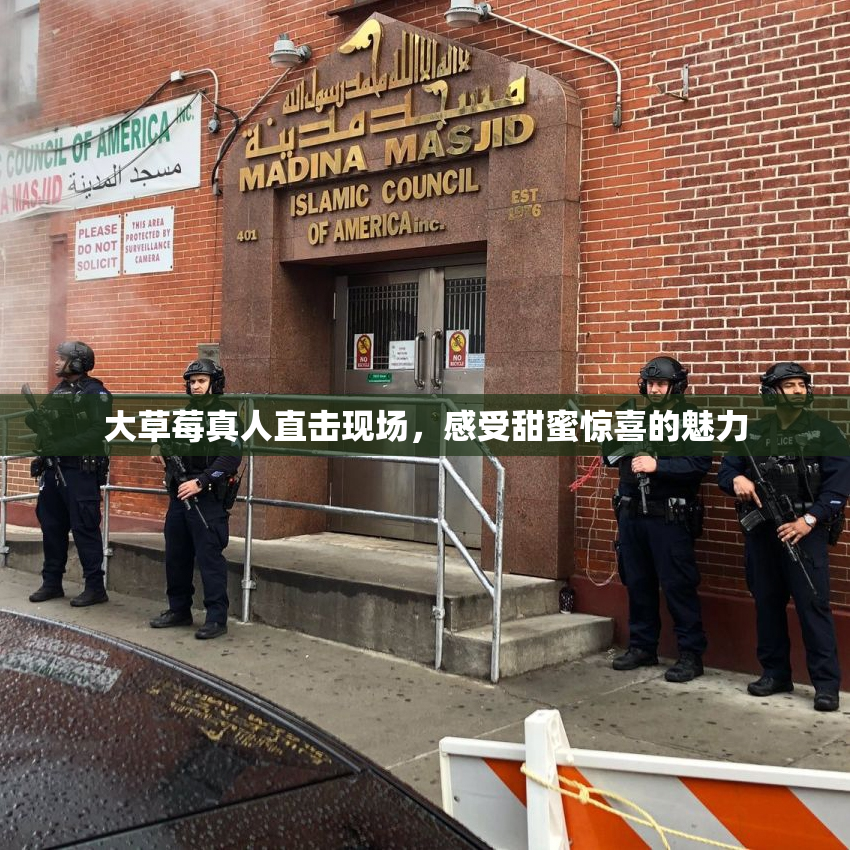 大草莓真人直击现场，感受甜蜜惊喜的魅力