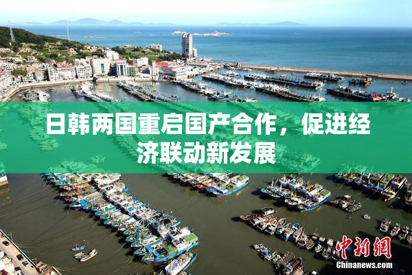 日韩两国重启国产合作，促进经济联动新发展
