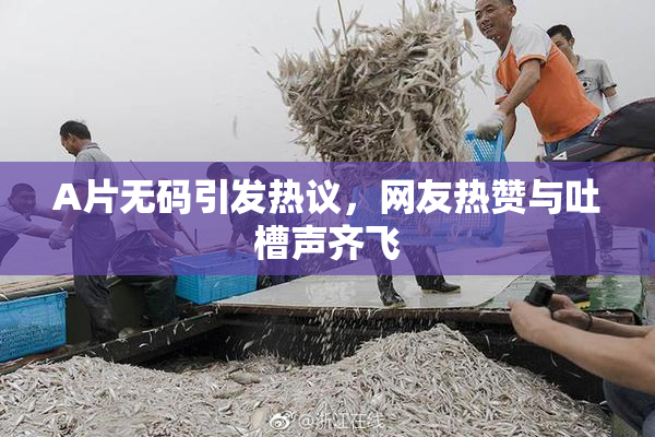 A片无码引发热议，网友热赞与吐槽声齐飞