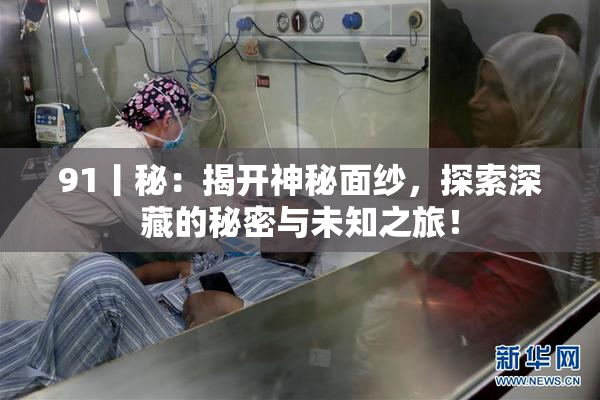 91丨秘：揭开神秘面纱，探索深藏的秘密与未知之旅！