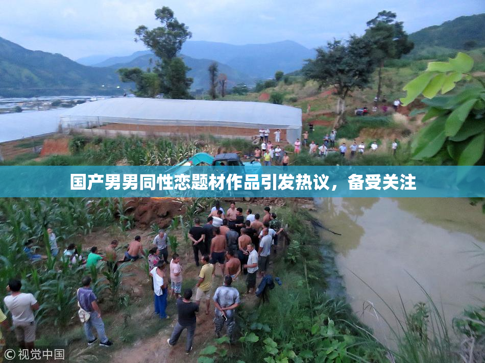 国产男男同性恋题材作品引发热议，备受关注
