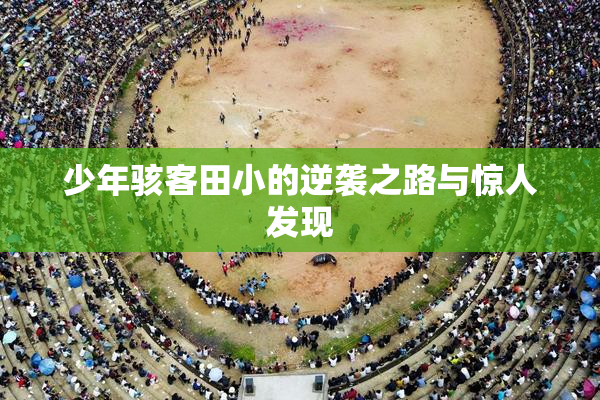 少年骇客田小的逆袭之路与惊人发现