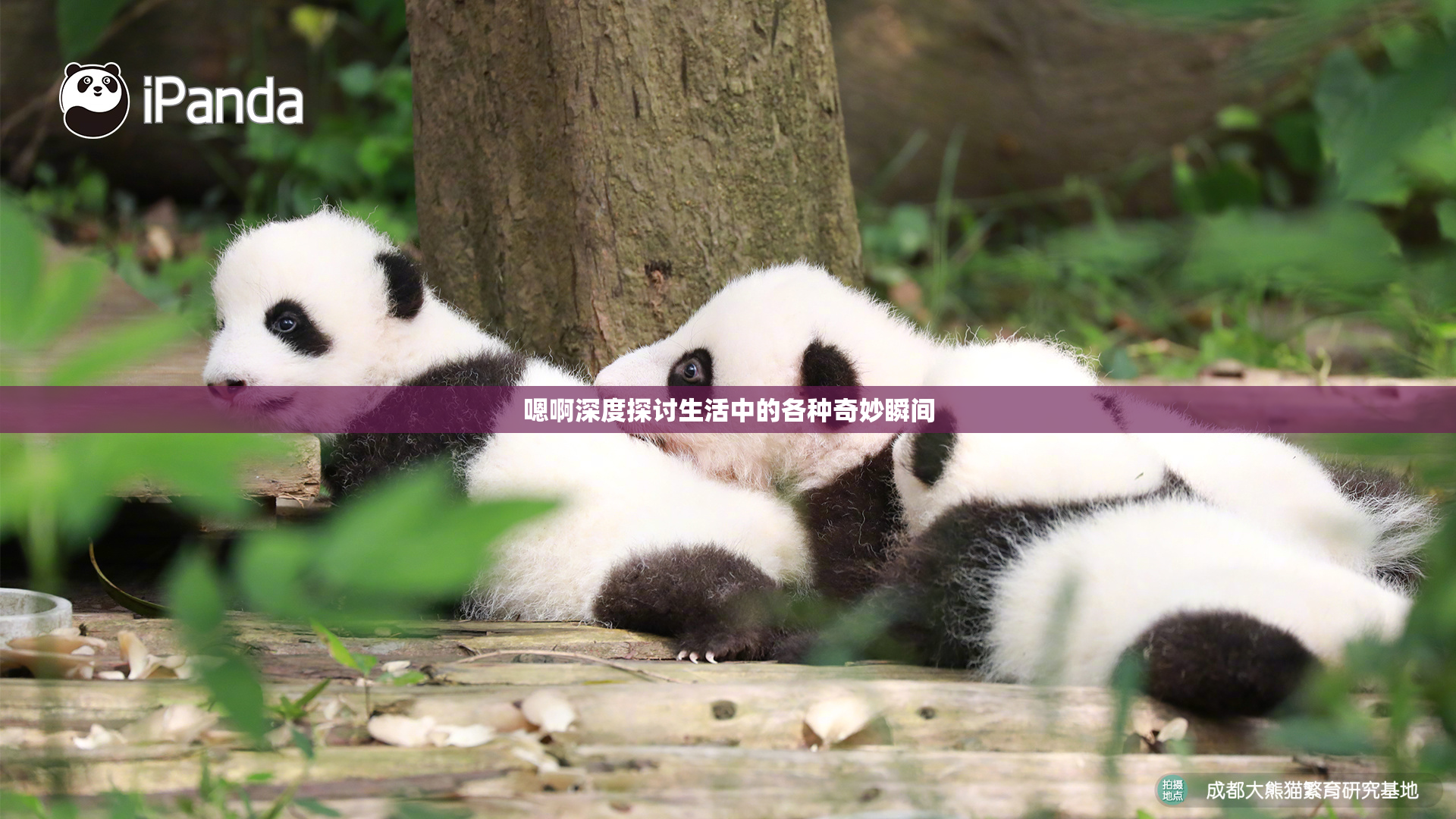 嗯啊深度探讨生活中的各种奇妙瞬间