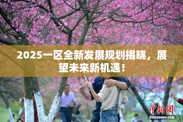 2025一区全新发展规划揭晓，展望未来新机遇！