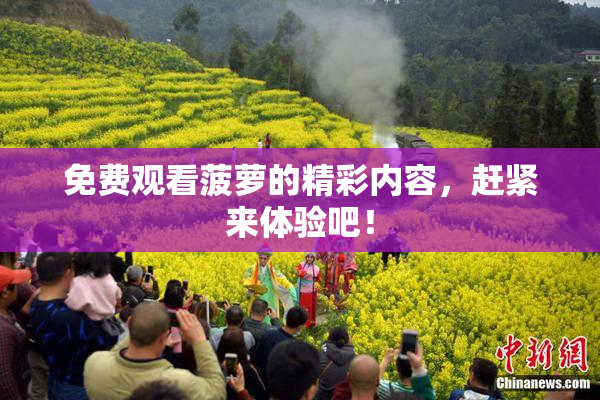免费观看菠萝的精彩内容，赶紧来体验吧！
