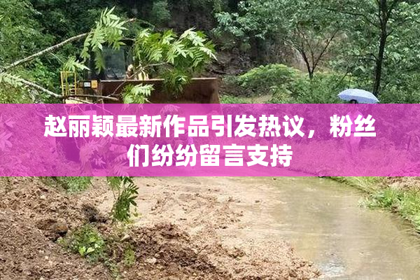 赵丽颖最新作品引发热议，粉丝们纷纷留言支持