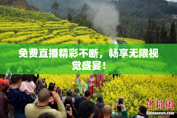 免费直播精彩不断，畅享无限视觉盛宴！