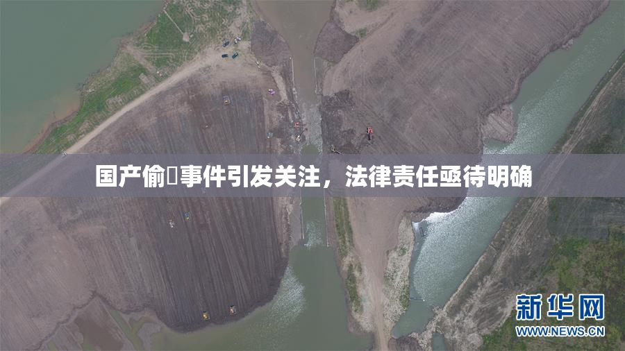 国产偷抇事件引发关注，法律责任亟待明确