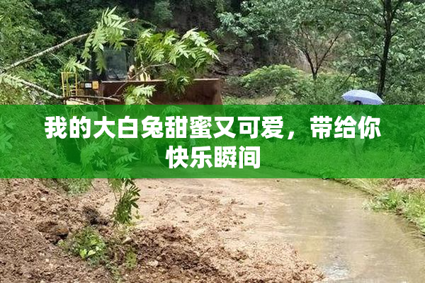 我的大白兔甜蜜又可爱,带给你快乐瞬间