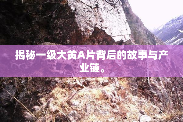 揭秘一级大黄A片背后的故事与产业链。