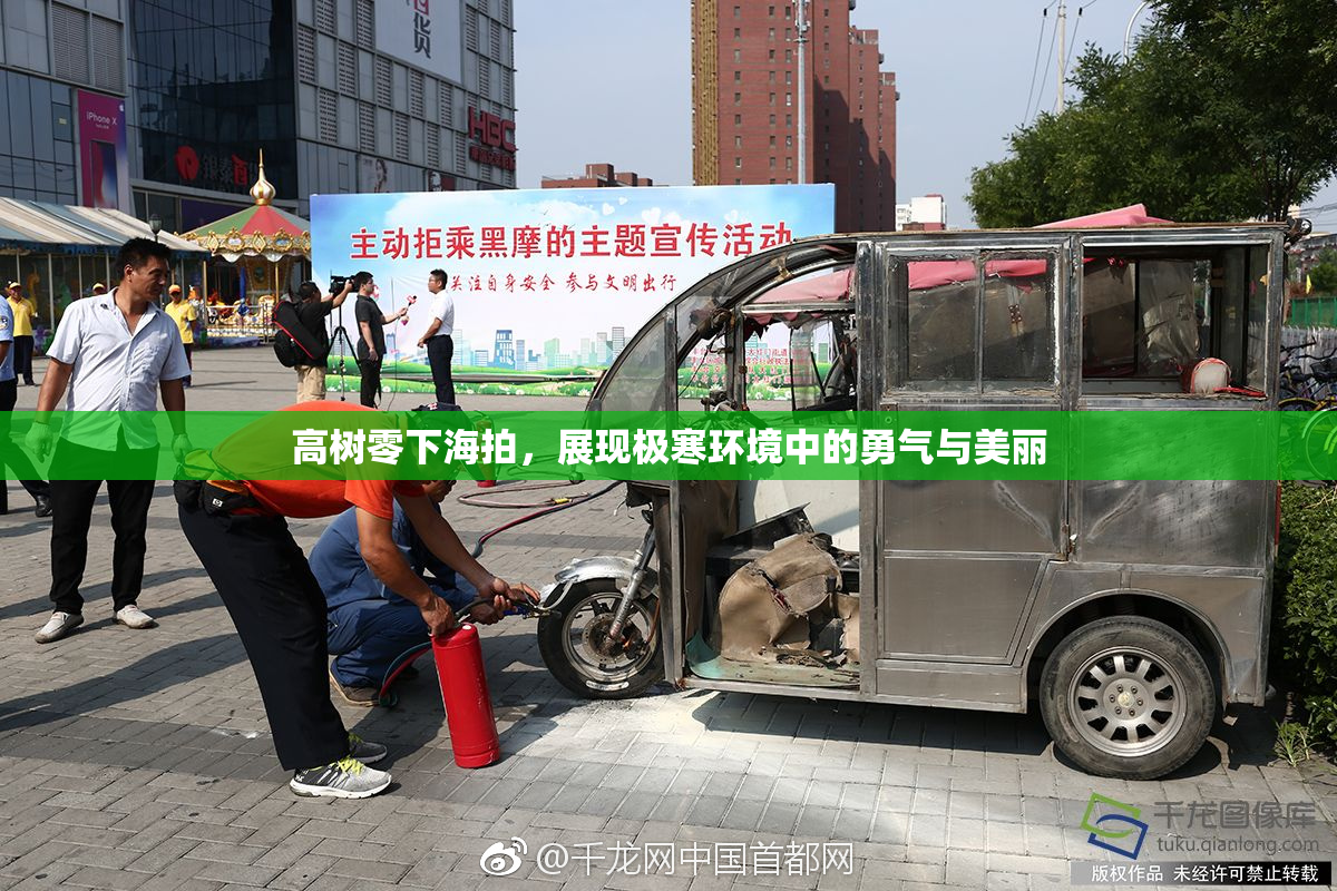 高树零下海拍，展现极寒环境中的勇气与美丽