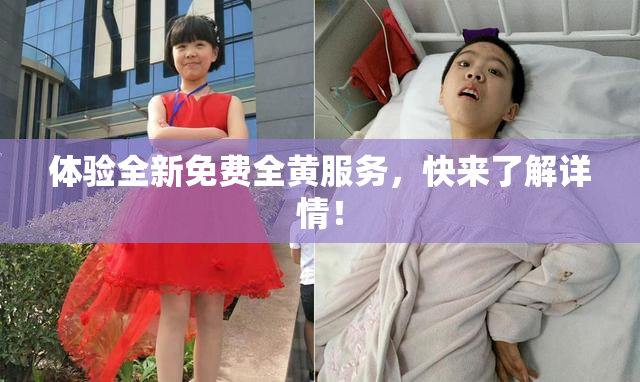 体验全新免费全黄服务，快来了解详情！