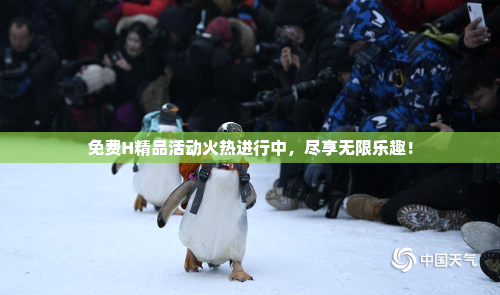 免费H精品活动火热进行中，尽享无限乐趣！