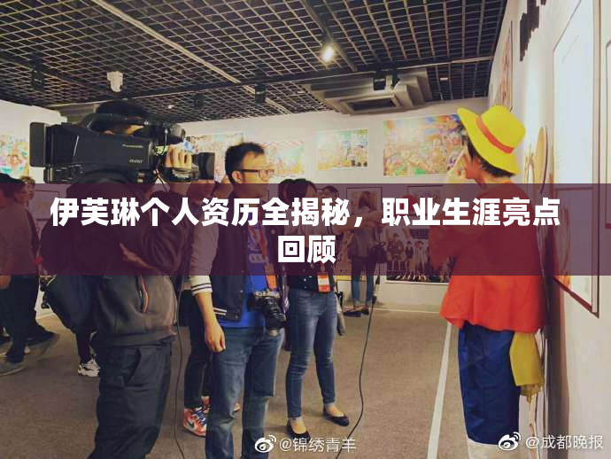 伊芙琳个人资历全揭秘，职业生涯亮点回顾