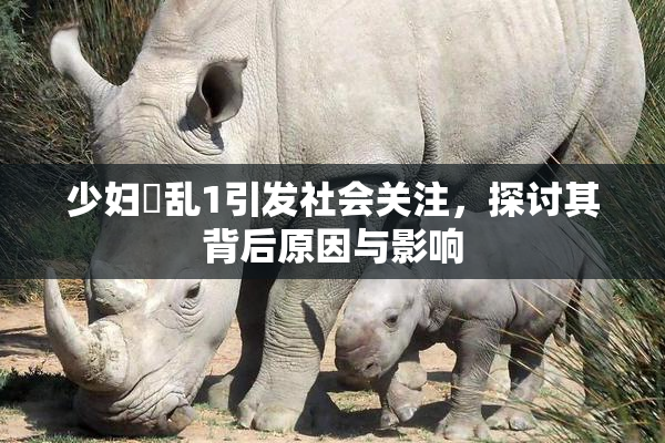 少妇婬乱1引发社会关注,探讨其背后原因与影响