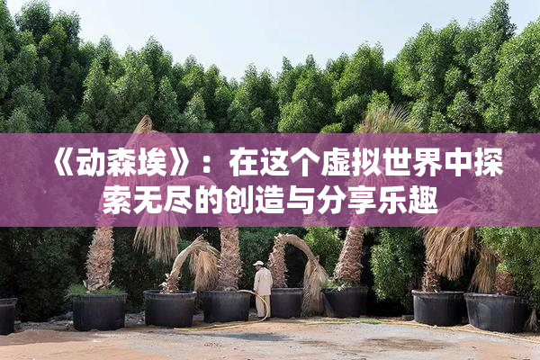 《动森埃》：在这个虚拟世界中探索无尽的创造与分享乐趣