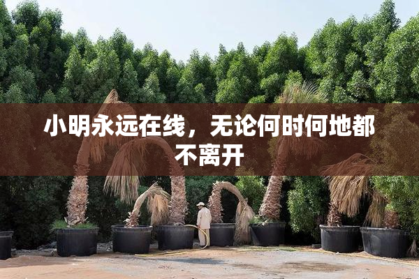 小明永远在线，无论何时何地都不离开
