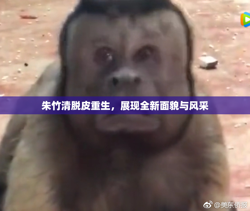 朱竹清脱皮重生，展现全新面貌与风采