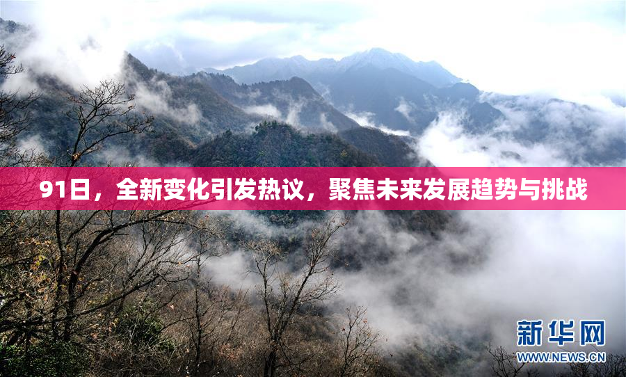 91日,全新变化引发热议,聚焦未来发展趋势与挑战