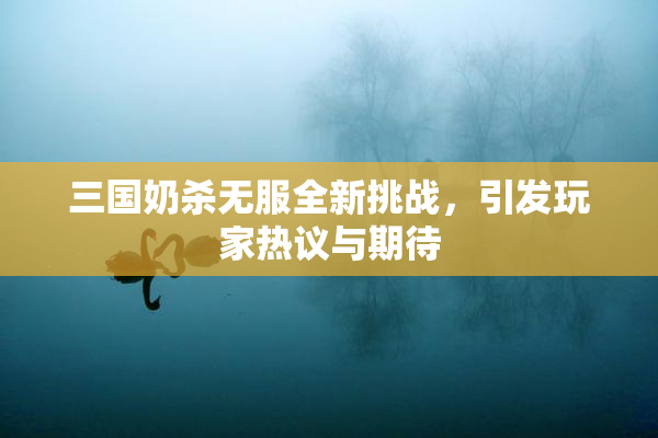 三国奶杀无服全新挑战，引发玩家热议与期待